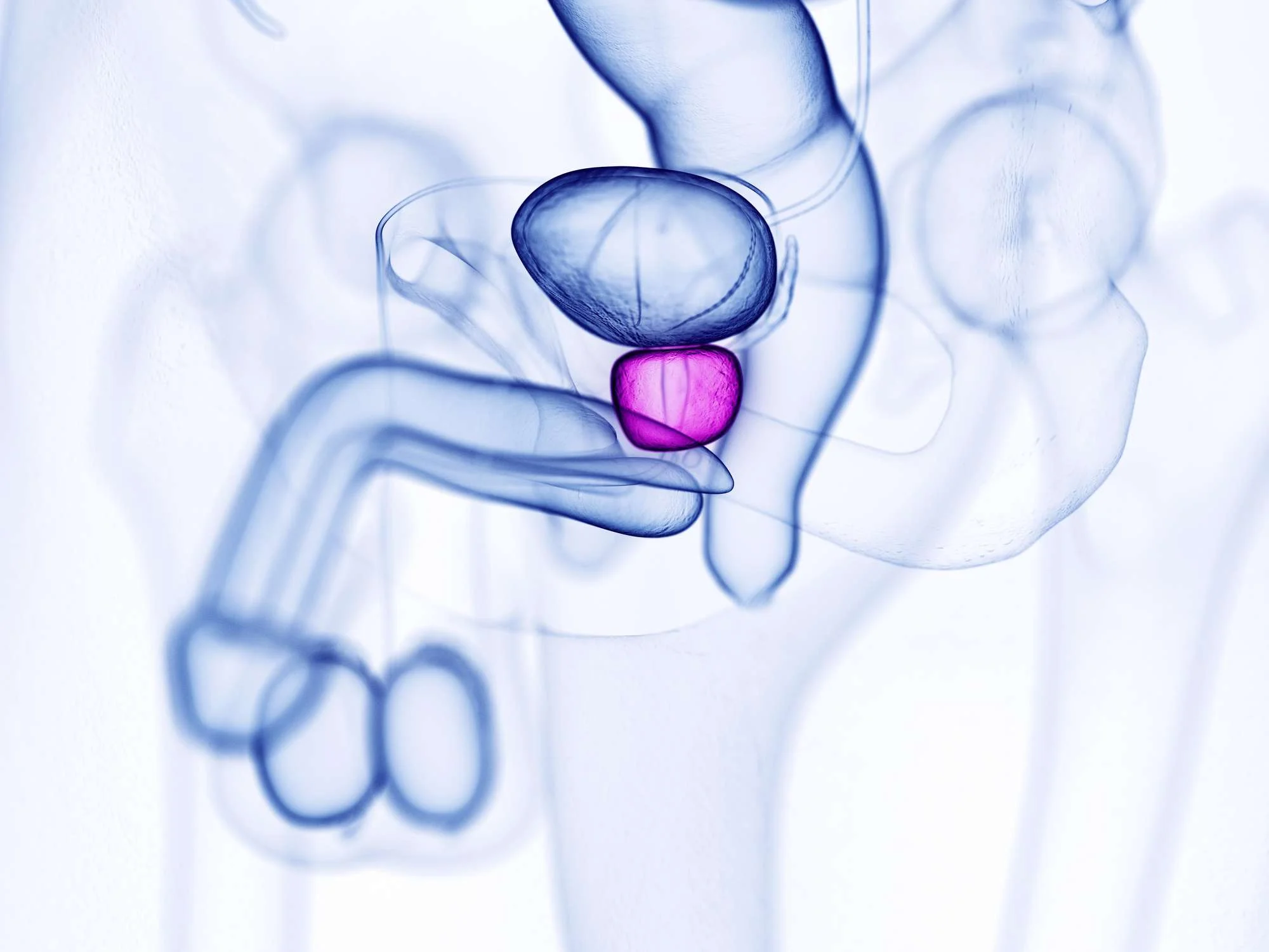 Wat doet prostaatmassage met het mannelijk lichaam?